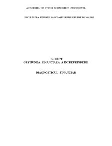 Diagnosticul financiar al unei întreprinderii - GFI - Pagina 1