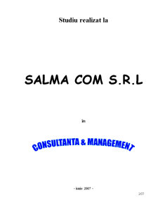 Dosar practică - consultanță și management Salma Com SRL - Pagina 2