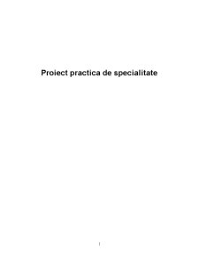 Proiect practică de specialitate - SC Agromec SA - Pagina 1
