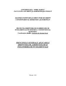 Protecția drepturilor în sistemul constituțional românesc - Pagina 1