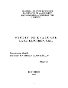 Studiu de evaluare la SC Electrica SRL - Pagina 2