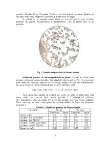 Defecte Microbiologice ale Vinului - Pagina 5
