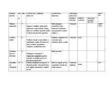 Proiect Didactic - Pagina 3