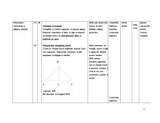 Proiect Didactic - Pagina 4