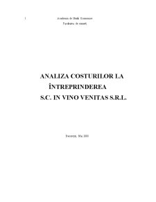 Analiza costurilor unei întreprinderi - SC Invino Venitas SRL - Pagina 1