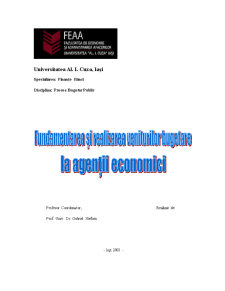 Fundamentarea și realizarea veniturilor bugetare la agenții economici - Pagina 1