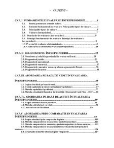 Evaluarea Întreprinderii - Note de Curs și Aplicații Practice - Pagina 2