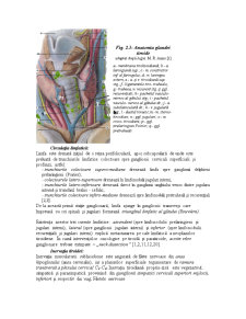 Patologia Chirurgicală a Tiroidei - Pagina 5