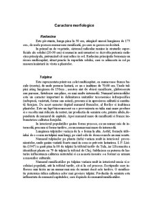 Trifoiul Roșu - trifolium pratense - Pagina 3