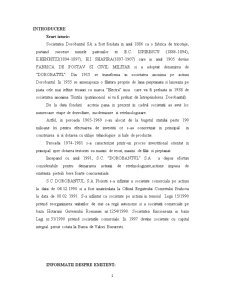 Analiza costurilor la întreprinderea SC Dorobanțul SA - Pagina 2