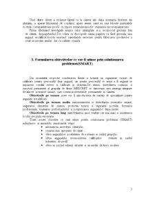 Descrierea firmei SC Melcret SA - Iași - Pagina 3