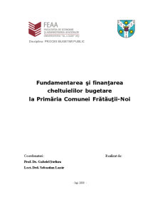 Fundamentarea și finanțarea unei instituții publice - Pagina 1