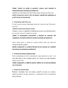 Analiza economico-financiară - Pagina 13