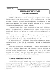 Analiza economico-financiară - Pagina 18
