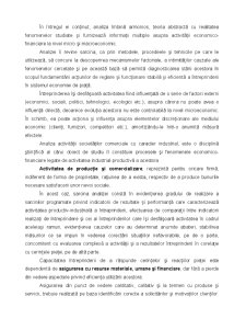 Analiza economico-financiară - Pagina 20