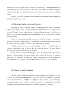 Analiza economico-financiară - Pagina 41