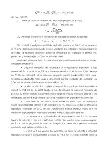 Analiza economico-financiară - Pagina 103