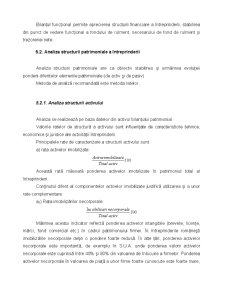 Analiza economico-financiară - Pagina 131
