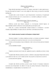Analiza economico-financiară - Pagina 133