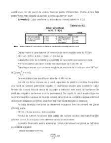Analiza economico-financiară - Pagina 137
