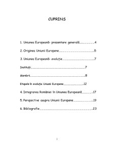 Uniunea Europeana. Origine. Evolutie. Principii. - Pagina 2