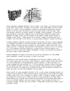 Arhitectura Bucovineană - Pagina 3