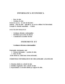 Informatică economică - Pagina 1