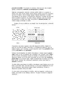 Concepția termodinamică privind evoluția sistemelor și funcționarea departe de echilibru a sistemelor complexe din economie - Pagina 4