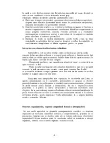 Organizarea structurală a întreprinderii - Pagina 4