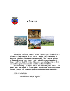 Circuit turistic în Munții Bihor - Pagina 5