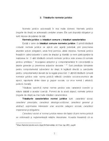 Norma Juridică - Pagina 2