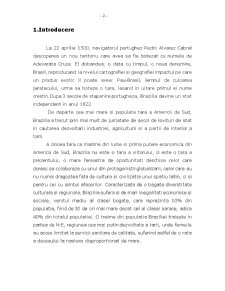 Studiu de Caz - Brazilia - Pagina 2