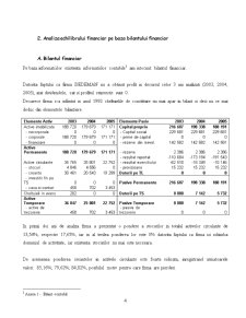 Analiza financiară a firmei SC Lefconsind SA - Pagina 4