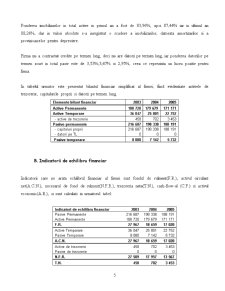 Analiza financiară a firmei SC Lefconsind SA - Pagina 5