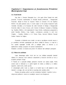 Organizarea și Funcționarea Gestiunii Financiare a Primăriei Iași - Pagina 3