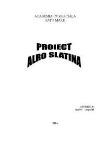 Studiu de caz - Alro Slatina - Pagina 1