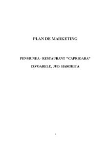 Plan de marketing pensiunea Căprioara - Pagina 1