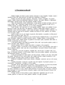 Plan de marketing pensiunea Căprioara - Pagina 3
