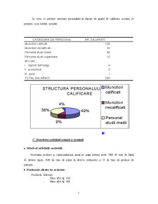 Plan de Afaceri - SC Mopariv SA - Pagina 5