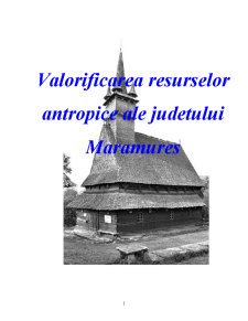 Valorificarea resurselor antropice ale județului Maramureș - Pagina 1