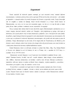 Valorificarea resurselor antropice ale județului Maramureș - Pagina 3