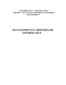Managementul Sistemelor Informatice - Pagina 1
