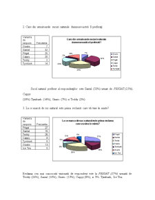 Raport practică - SC Metalplast Construct SRL - Pagina 4