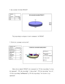 Raport practică - SC Metalplast Construct SRL - Pagina 5