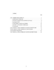 Modelarea Deciziei - SC Profil COM SRL - Pagina 2