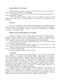Județul Neamț - Pagina 4