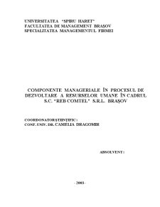 Componente Manageriale în Procesul de Dezvoltare a Resurselor Umane - Pagina 1
