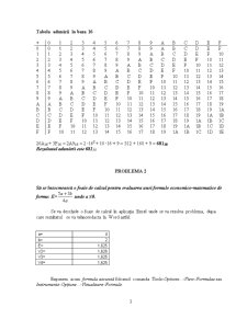 Referat birotică - probleme - Pagina 3