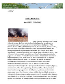 Accident ecologic Delta Dunării - Pagina 1