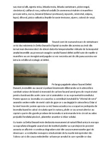 Accident ecologic Delta Dunării - Pagina 2